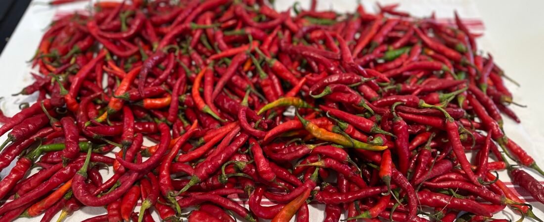 Cayenne Pepper Preservation