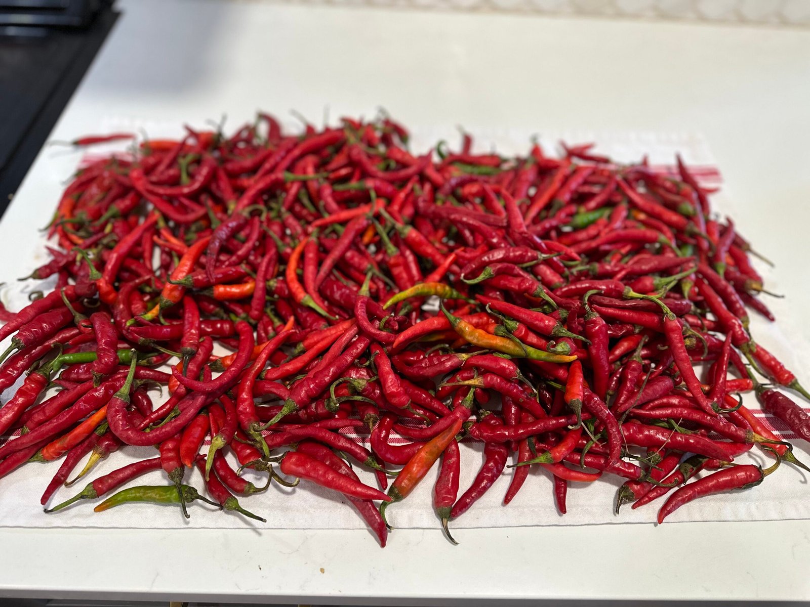 Cayenne Pepper Preservation